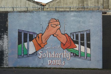 Two hands reaching out from cells to grasp each other one. One sleeve displays the Irish tricolour, the other sleeve displays the Palestinian flag.