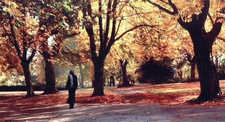 Clare Short walking in Handsworth Park, Birmingham amongst autumnal trees.